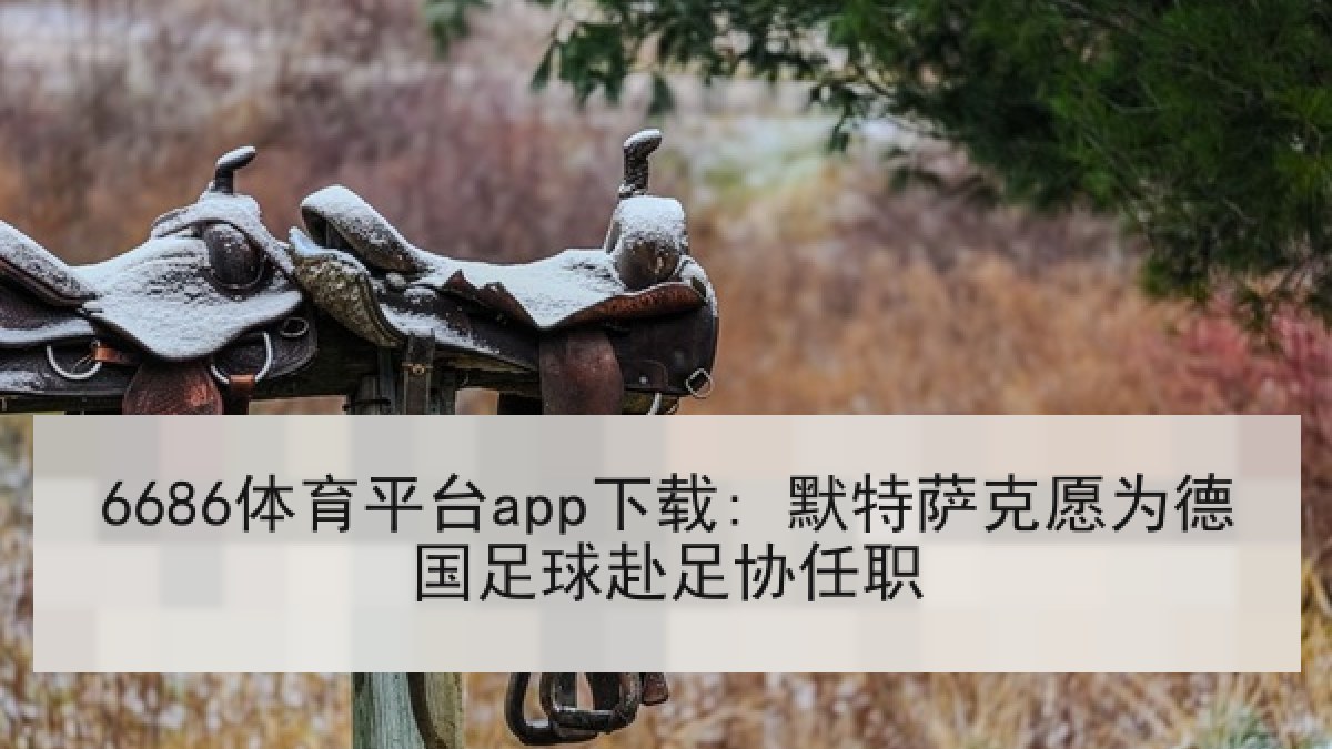 6686体育平台app下载: 默特萨克愿为德国足球赴足协任职